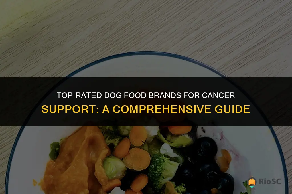 best dog food brand for cancer