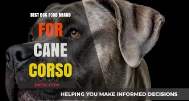 Top-Rated Dog Food Brands for Cane Corso: A Comprehensive Guide