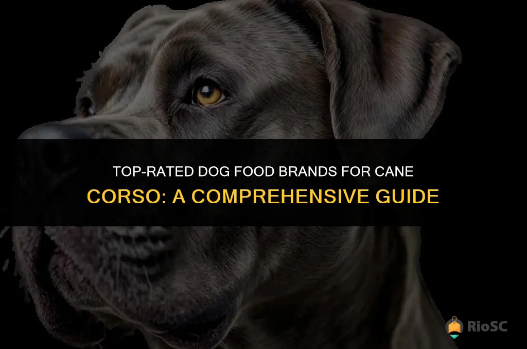 best dog food brand for cane corso