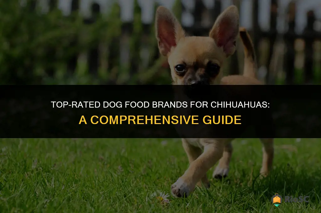 best dog food brand for chihuahua