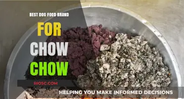 Top-Rated Dog Food Brands for Chow Chows: A Comprehensive Guide
