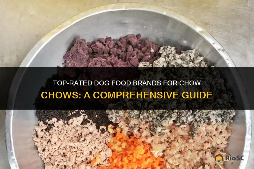 best dog food brand for chow chow