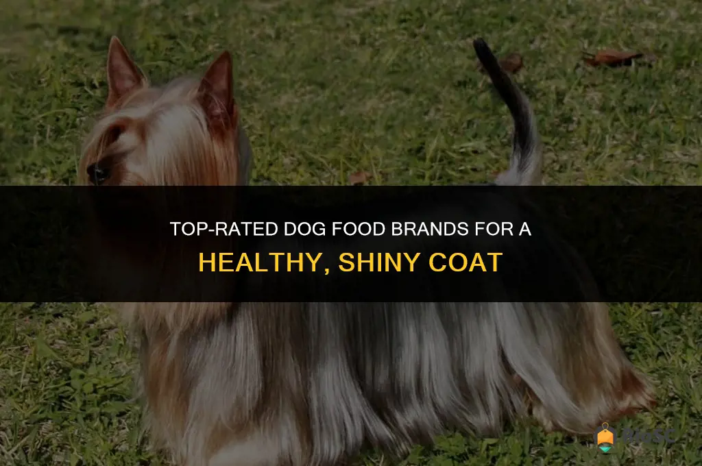 best dog food brand for coat