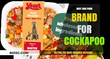 Top-Rated Dog Food Brands for Cockapoos: A Comprehensive Guide