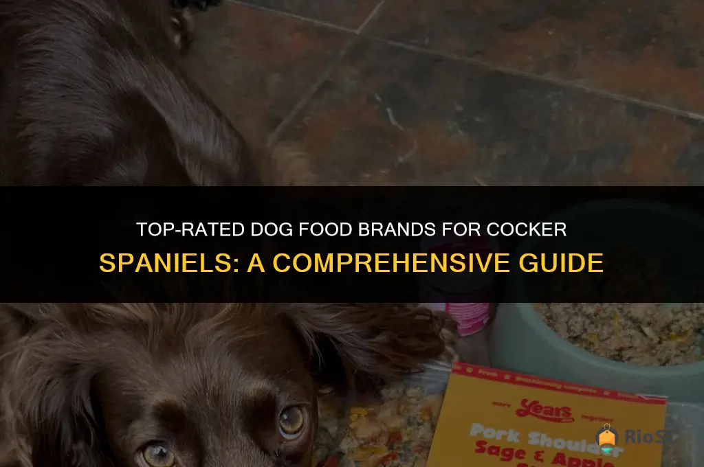 best dog food brand for cocker spaniels