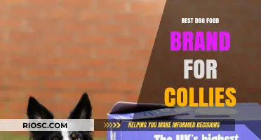 Top-Rated Dog Food Brands for Collies: A Comprehensive Guide to Nutritious Options