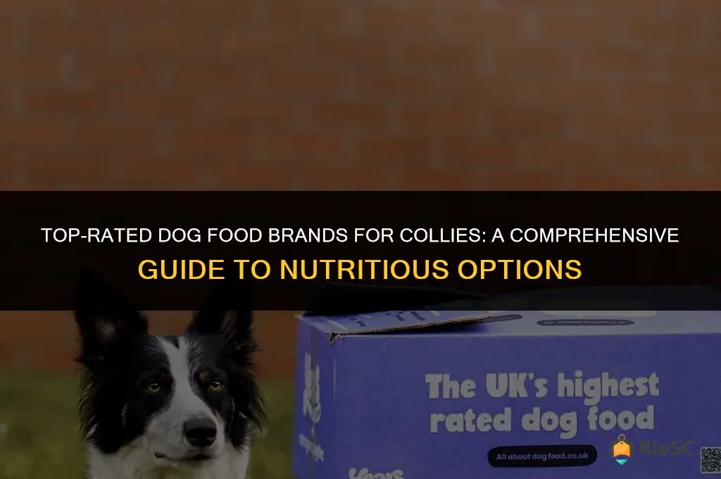 best dog food brand for collies