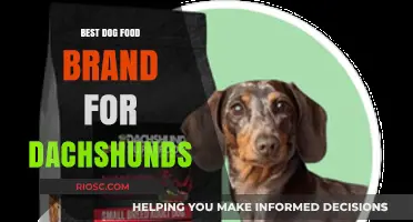 Top-Rated Dog Food Brands for Dachshunds: A Comprehensive Guide