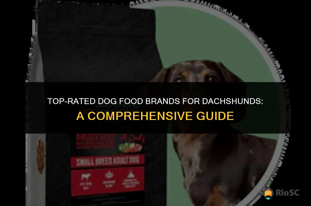 best dog food brand for dachshunds