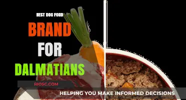 Top-Rated Dog Food Brands for Dalmatians: A Comprehensive Guide to Keeping Your Spotted Companion Healthy and Happy
