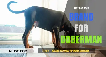 Top-Rated Dog Food Brands for Dobermans: A Comprehensive Guide