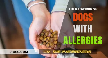 Top Hypoallergenic Dog Food Brands: A Comprehensive Guide for Allergy-Prone Pups