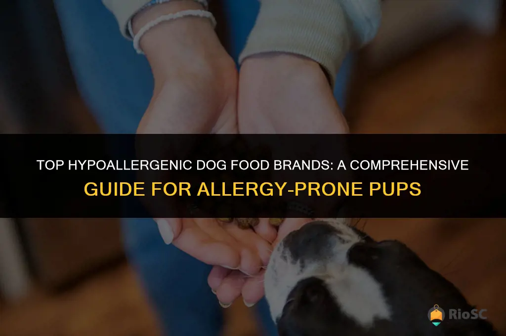 best dog food brand for dogs with allergies