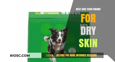 Top-Rated Dog Food Brands for Alleviating Dry Skin in Canines