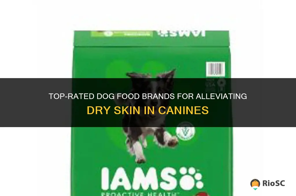 best dog food brand for dry skin