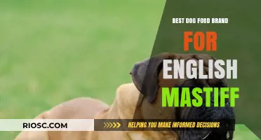 Top-Rated Dog Food Brands for English Mastiffs: A Comprehensive Guide