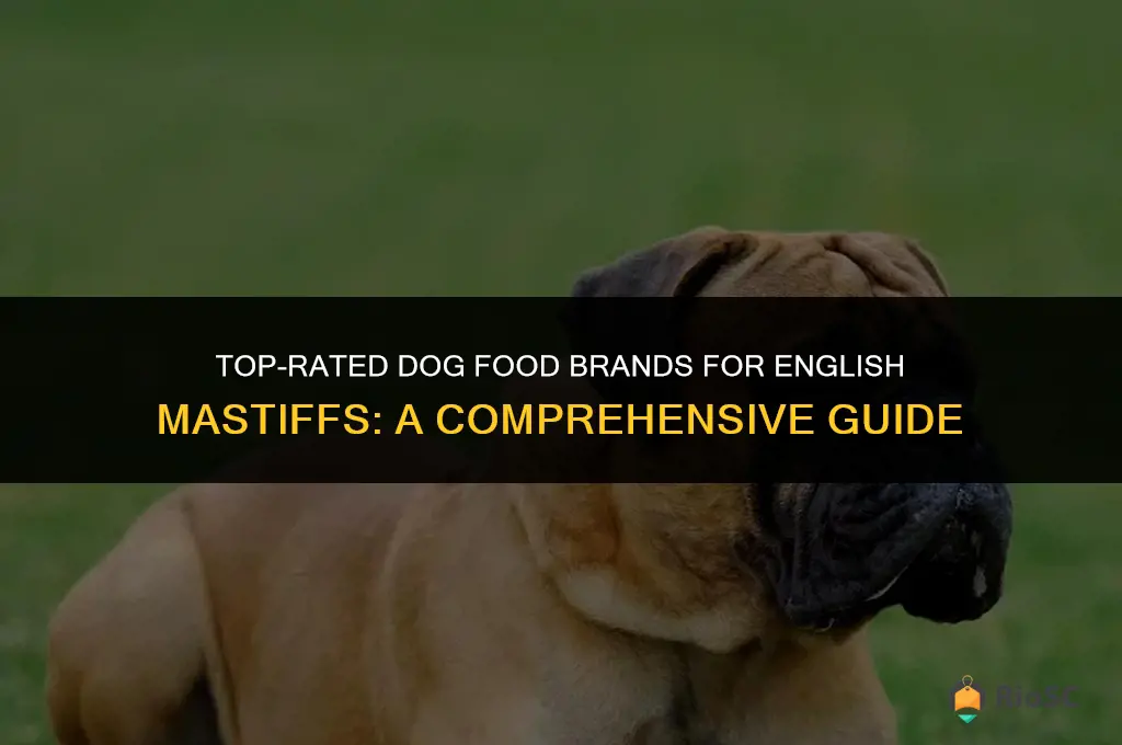 best dog food brand for english mastiff