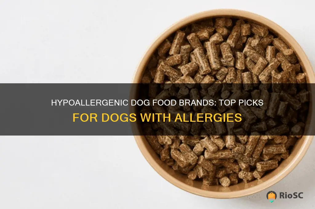 best dog food brands for dogs with allergies