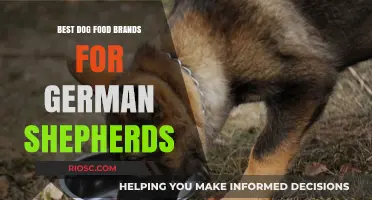 Top-Rated Dog Food Brands Tailored for German Shepherds: Nutrition, Health, and Energy Boost