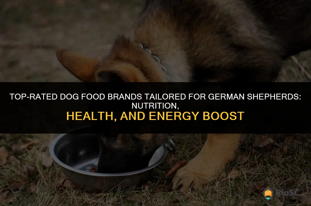 best dog food brands for german shepherds
