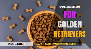 Top-Rated Dog Food Brands Tailored for Golden Retrievers' Health and Vitality