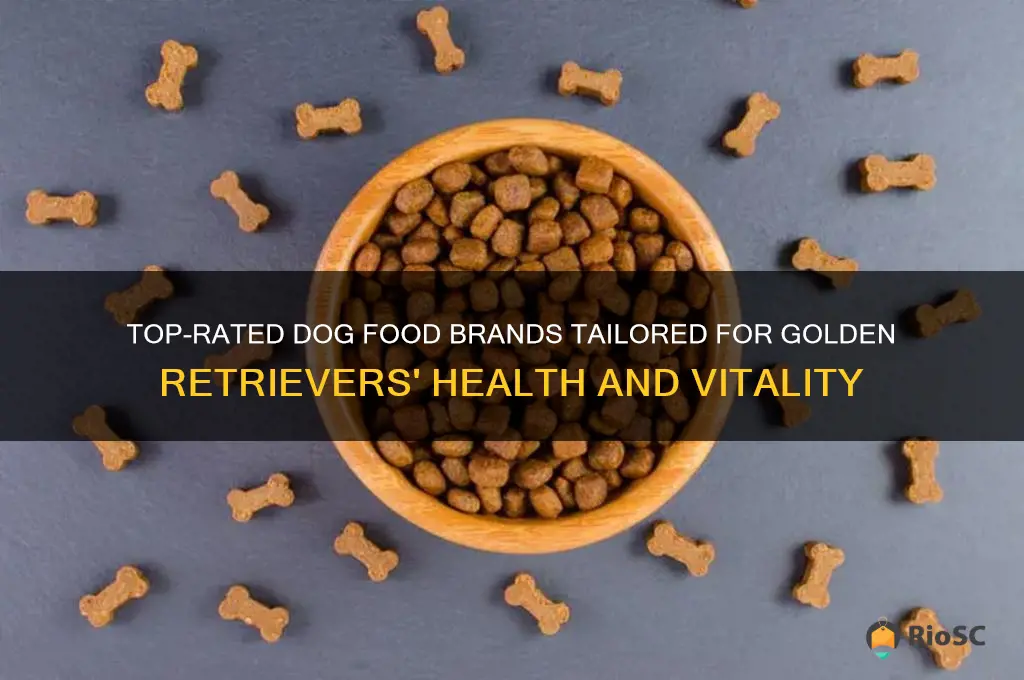 best dog food brands for golden retrievers