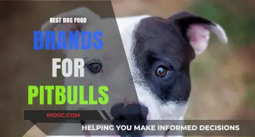 Top-Rated Dog Food Brands to Fuel Your Pitbull's Health and Energy