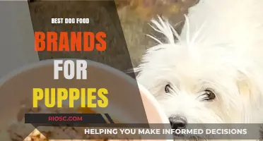 Nourishing New Furry Friends: Top Dog Food Brands for Puppies