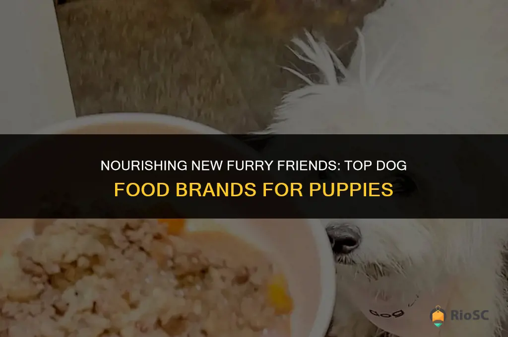 best dog food brands for puppies
