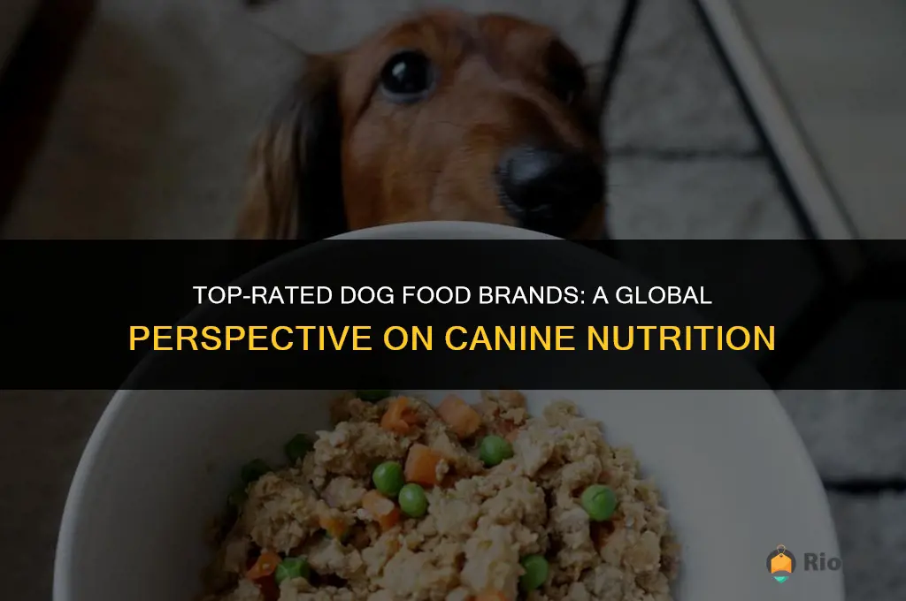 best dog food brands in the world