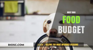 Affordable Nutrition: Top Budget-Friendly Dog Food Options for Healthy Canines
