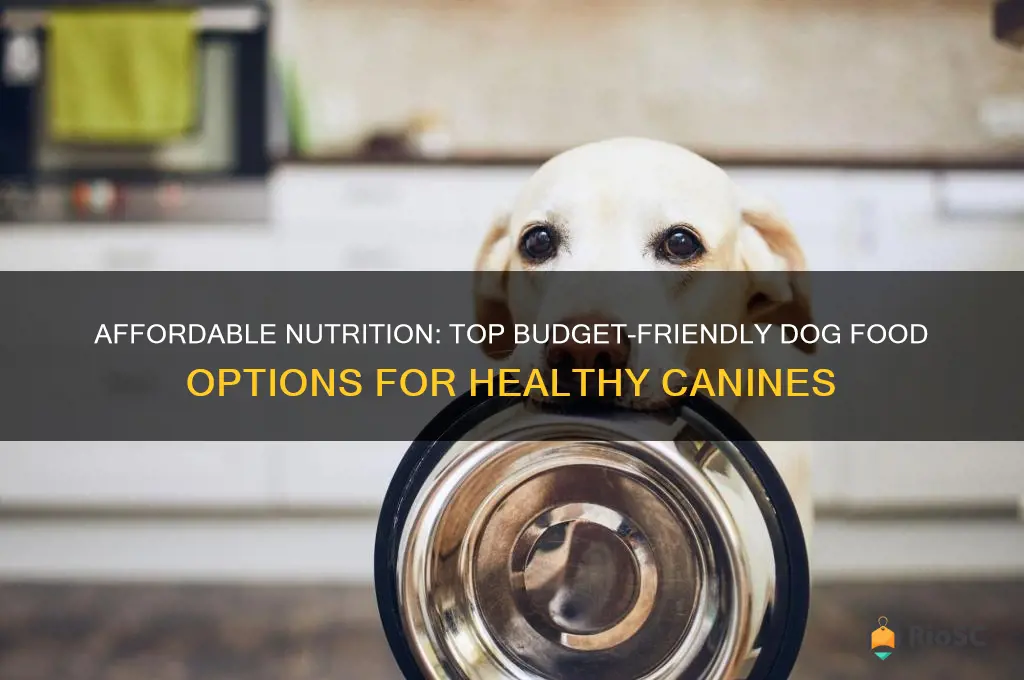 best dog food budget