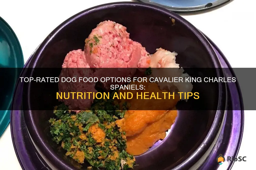 best dog food cavalier king charles