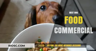 Top-Rated Dog Food Commercials: A Comprehensive Guide to Choosing the Best for Your Furry Friend