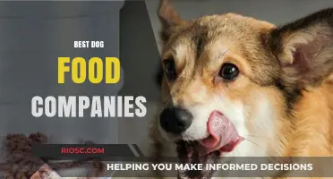 Top-Rated Dog Food Brands: A Comprehensive Guide to Nutritious Canine Cuisine