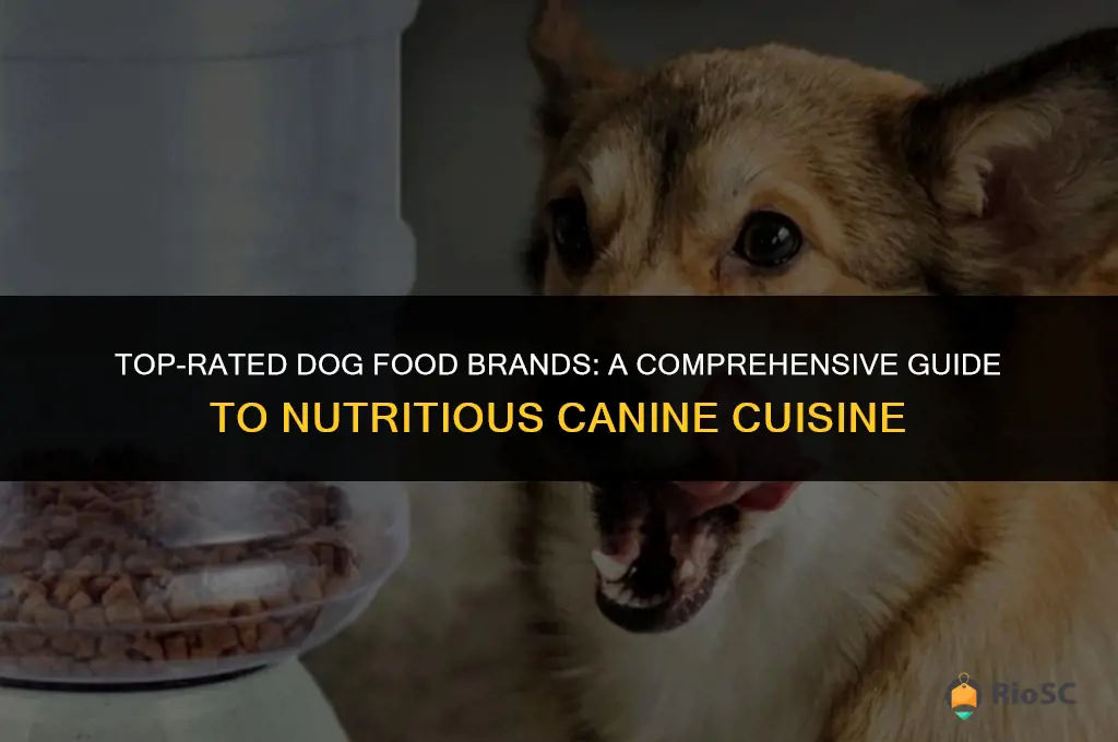 best dog food companies