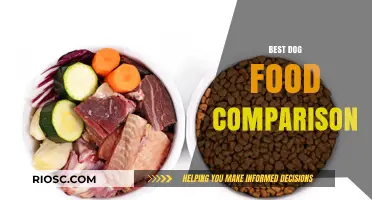 Top Picks for Your Furry Friend: A Comprehensive Dog Food Comparison