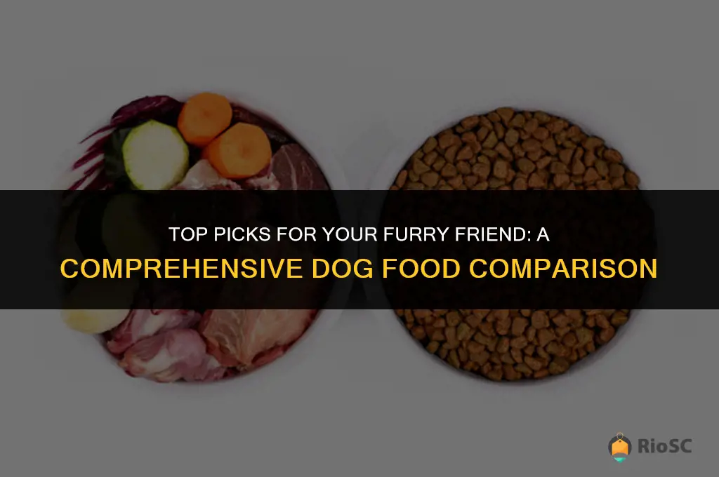best dog food comparison