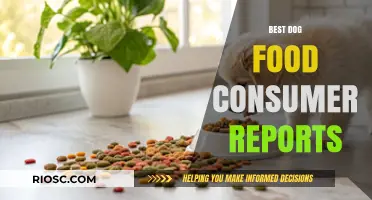 Top-Rated Dog Foods According to Consumer Reports: A Comprehensive Guide for Pet Owners