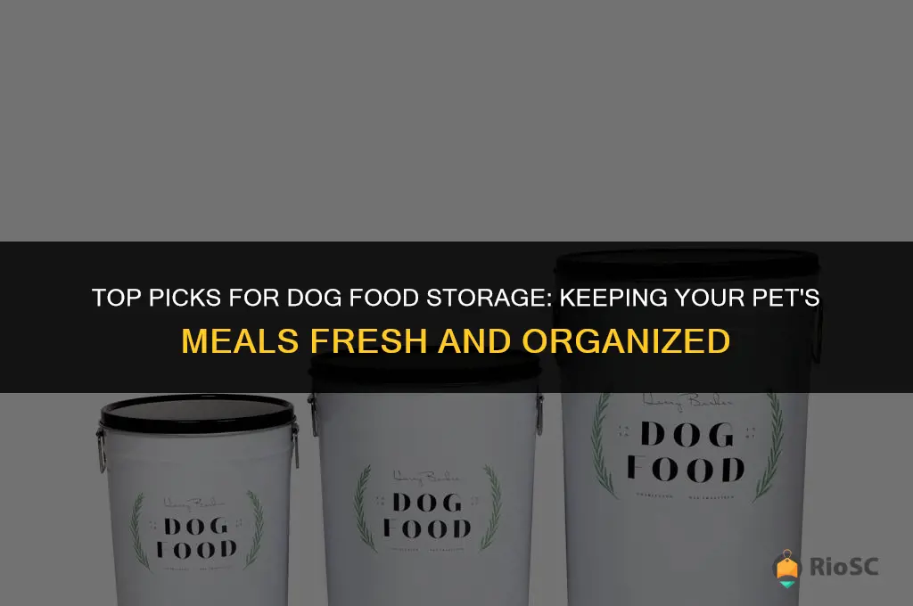 best dog food containers