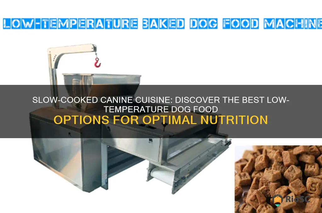 best dog food cooked at low temperature