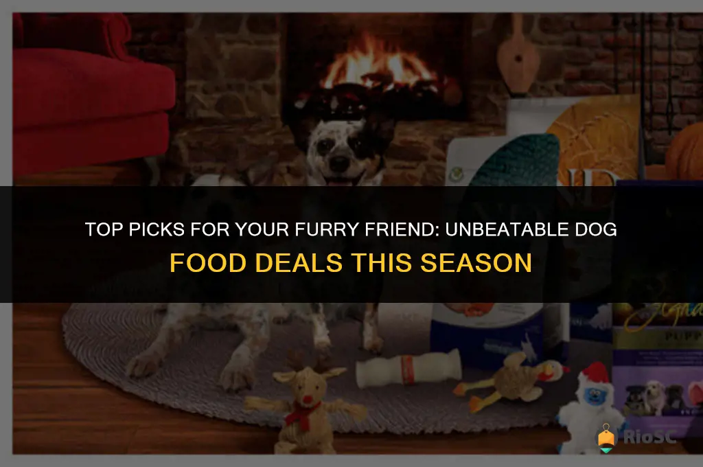 best dog food deals