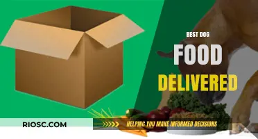 Top-Rated Dog Food Delivery Services: A Comprehensive Guide for Pet Owners