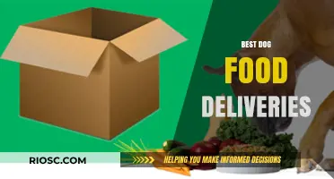 Top-Rated Dog Food Delivery Services: A Comprehensive Guide for Pet Owners