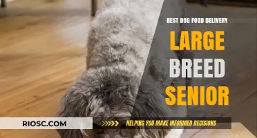 Top-Rated Dog Food Delivery Options for Large Breed Senior Dogs: Nutrition and Convenience Combined
