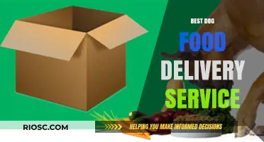 Top-Rated Dog Food Delivery Services: A Comprehensive Guide for Pet Owners