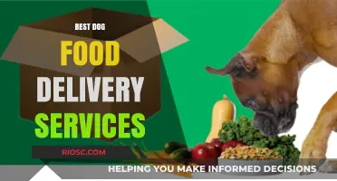 Top-Rated Dog Food Delivery Services: A Comprehensive Guide for Pet Owners
