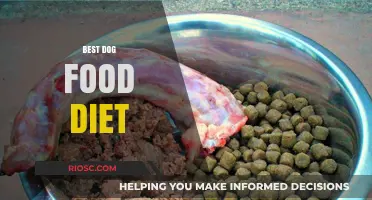 Optimal Nutrition for Canines: A Comprehensive Guide to the Best Dog Food Diets