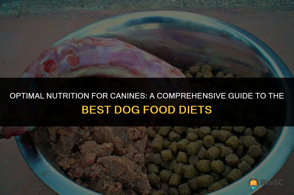 best dog food diet