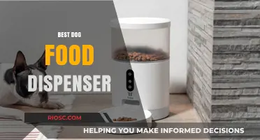 Revolutionize Mealtime: The Ultimate Guide to Choosing the Best Dog Food Dispenser for Your Furry Friend